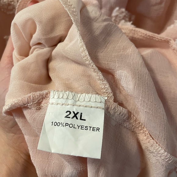 Sheer Pom Button Down Blush Blouse - Picture 4 of 4